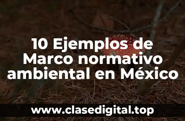 10 Ejemplos de Marco normativo ambiental en México