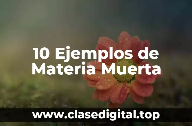 10 Ejemplos de Materia Muerta