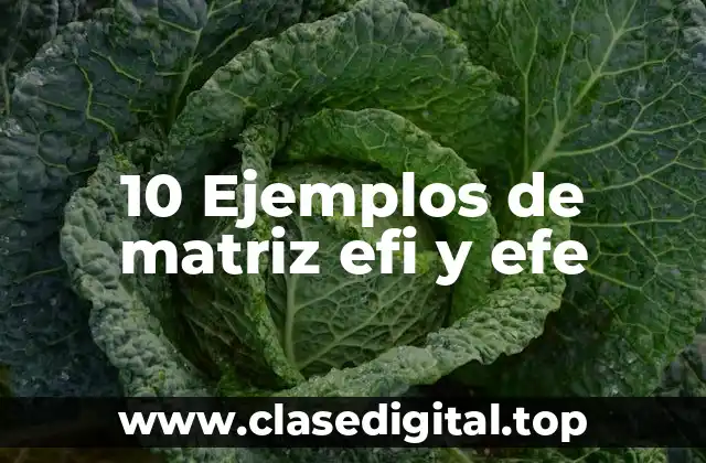 10 Ejemplos de matriz efi y efe