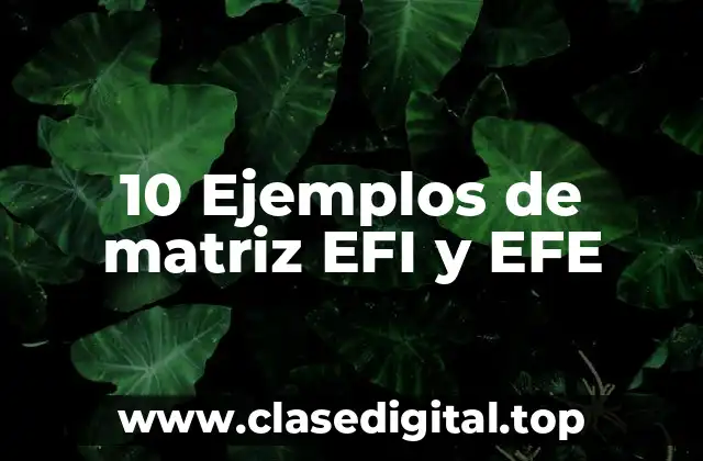 10 Ejemplos de matriz EFI y EFE
