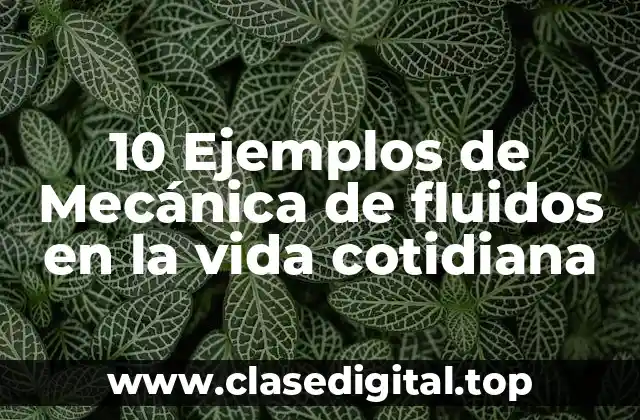 10 Ejemplos de Mecánica de fluidos en la vida cotidiana