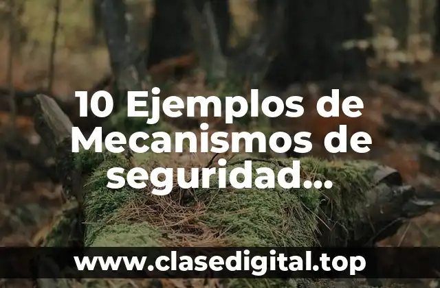 10 Ejemplos de Mecanismos de seguridad preventivos