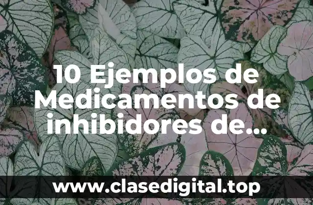10 Ejemplos de Medicamentos de inhibidores de enzima convertidora de angiotensina