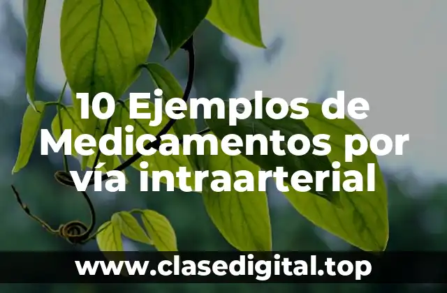 10 Ejemplos de Medicamentos por vía intraarterial