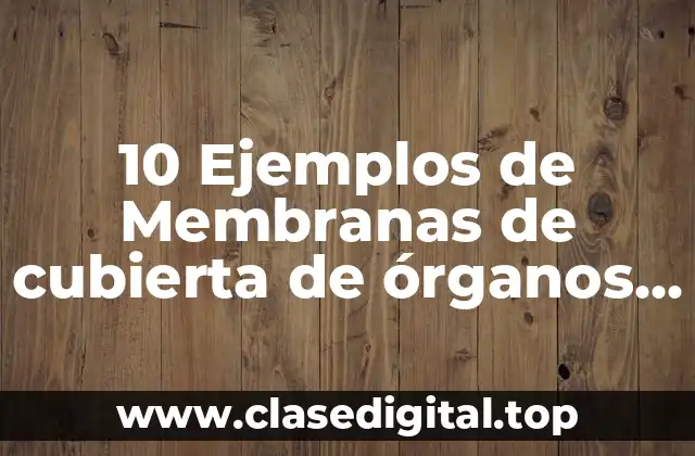 10 Ejemplos de Membranas de cubierta de órganos del cuerpo humano