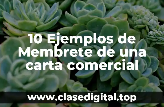 10 Ejemplos de Membrete de una carta comercial