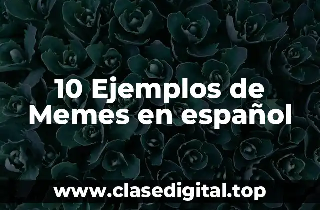 10 Ejemplos de Memes en español