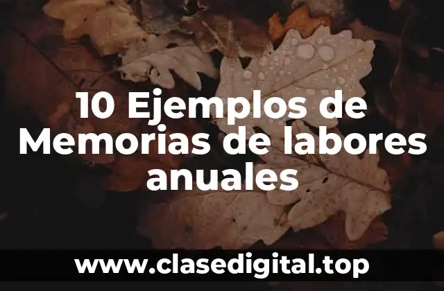 10 Ejemplos de Memorias de labores anuales
