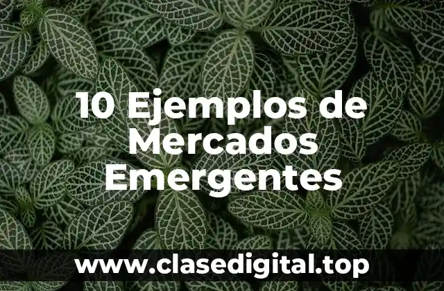 10 Ejemplos de Mercados Emergentes