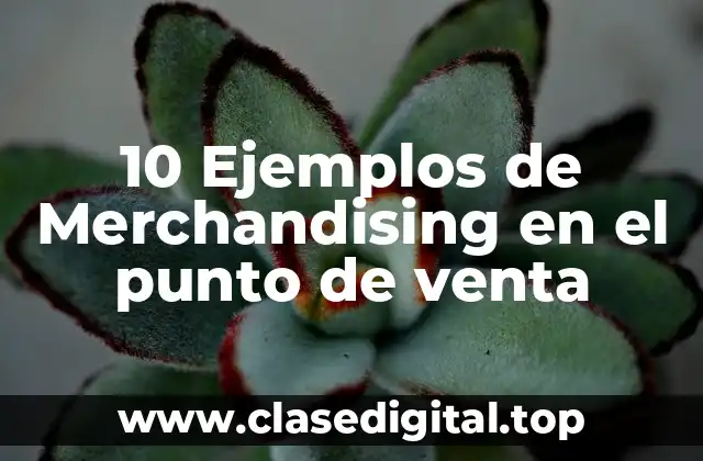 10 Ejemplos de Merchandising en el punto de venta