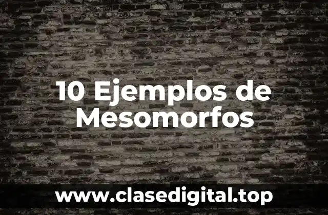 10 Ejemplos de Mesomorfos