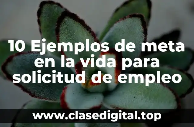 10 Ejemplos de meta en la vida para solicitud de empleo