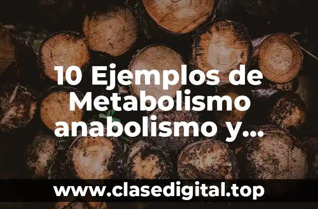10 Ejemplos de Metabolismo anabolismo y catabolismo