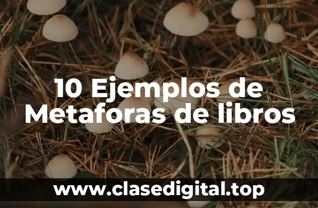 10 Ejemplos de Metaforas de libros