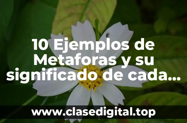 10 Ejemplos de Metaforas y su significado de cada metafora