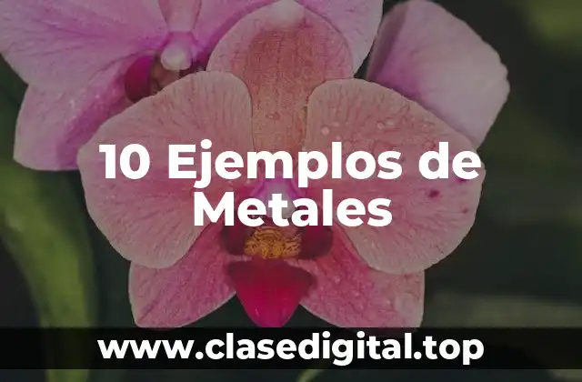 10 Ejemplos de Metales