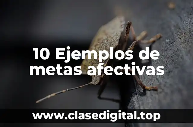 10 Ejemplos de metas afectivas