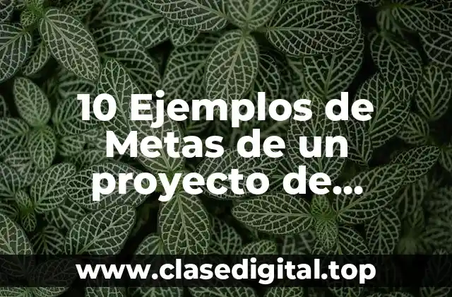10 Ejemplos de Metas de un proyecto de desarrollo de software