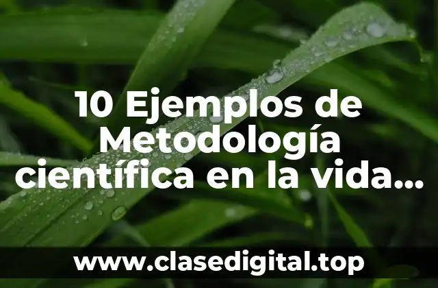 10 Ejemplos de Metodología científica en la vida cotidiana