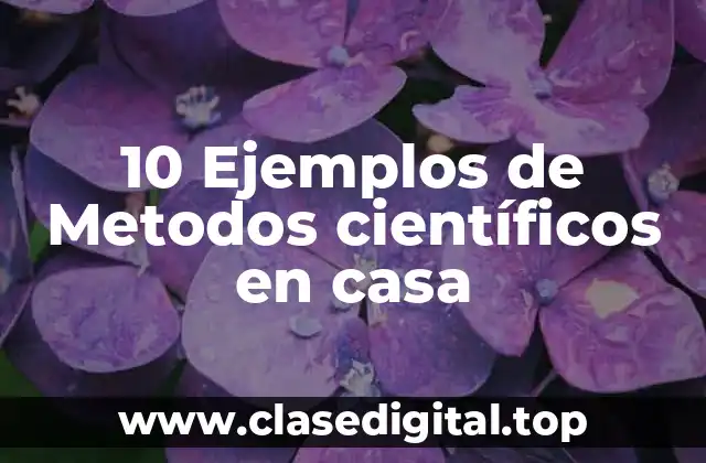 10 Ejemplos de Metodos científicos en casa