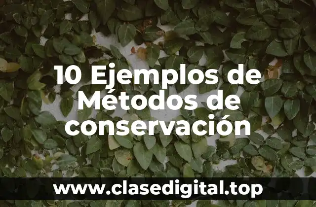 10 Ejemplos de Métodos de conservación