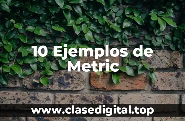 10 Ejemplos de Metric