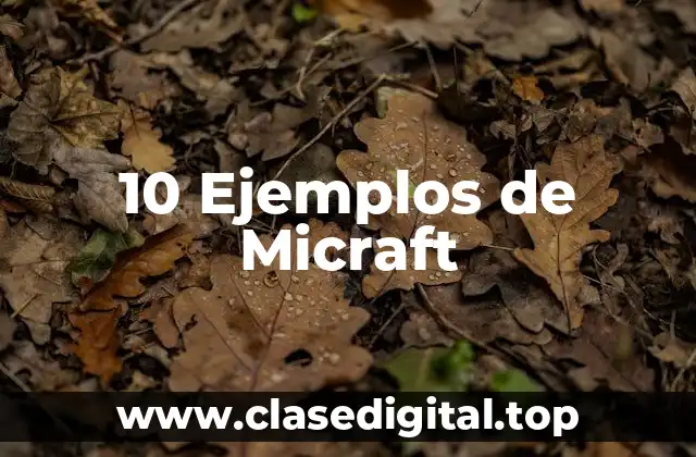 10 Ejemplos de Micraft
