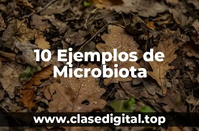 10 Ejemplos de Microbiota