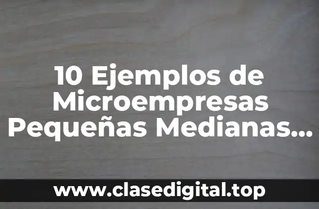 10 Ejemplos de Microempresas Pequeñas Medianas y Grandes