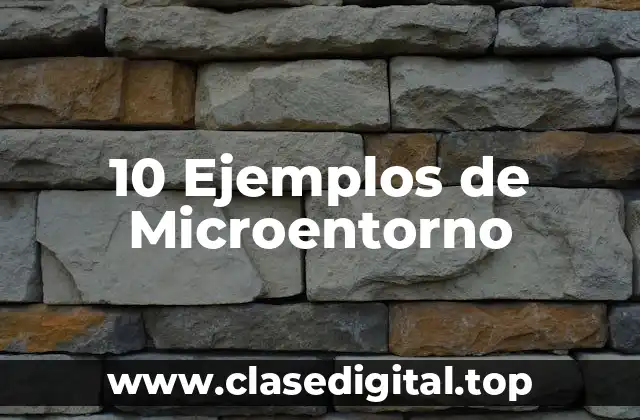 10 Ejemplos de Microentorno