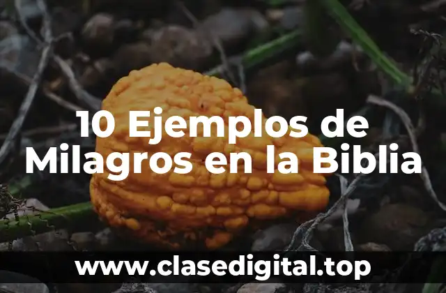 10 Ejemplos de Milagros en la Biblia