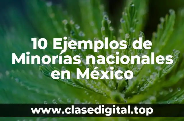 10 Ejemplos de Minorías nacionales en México