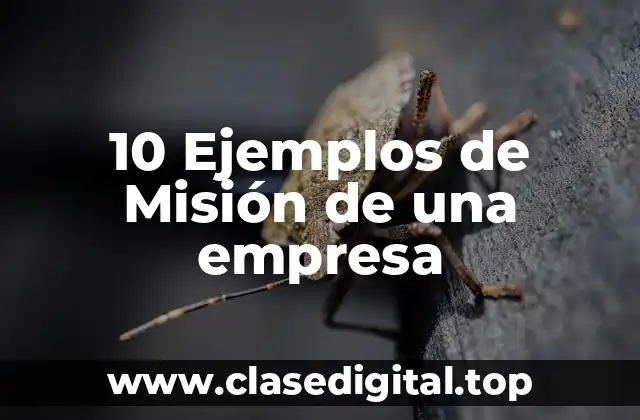 10 Ejemplos de Misión de una empresa