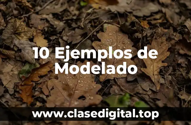 10 Ejemplos de Modelado