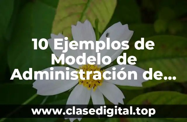 10 Ejemplos de Modelo de Administración de Costos