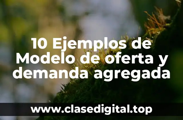 10 Ejemplos de Modelo de oferta y demanda agregada