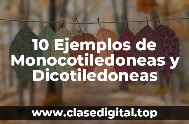 10 Ejemplos de Monocotiledoneas y Dicotiledoneas