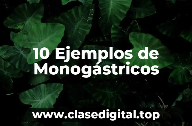 10 Ejemplos de Monogástricos