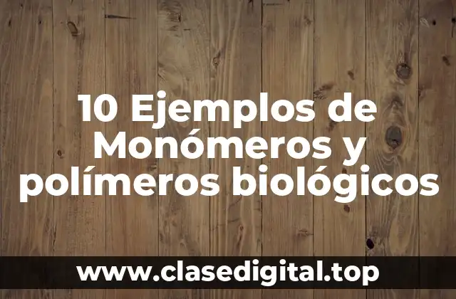 10 Ejemplos de Monómeros y polímeros biológicos
