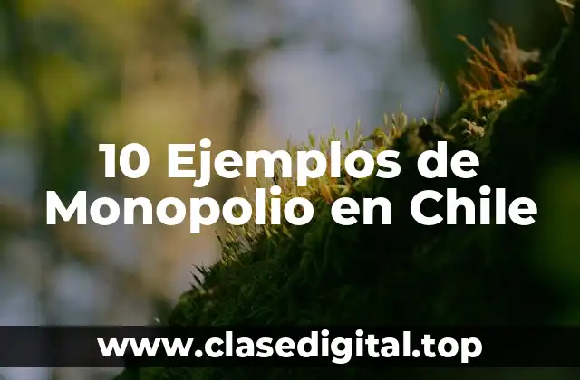 10 Ejemplos de Monopolio en Chile