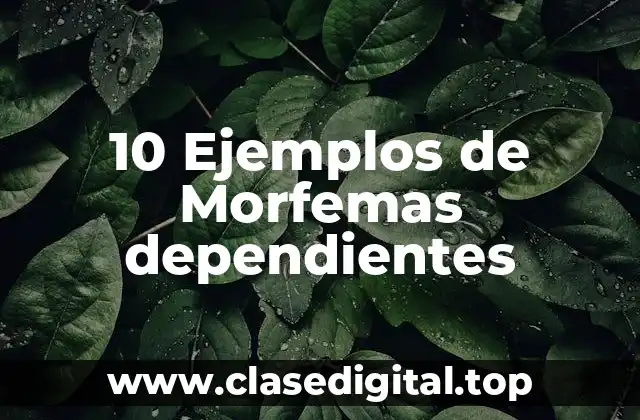 10 Ejemplos de Morfemas dependientes