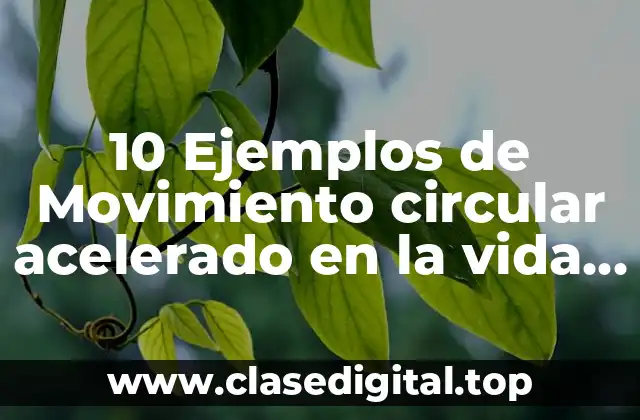 10 Ejemplos de Movimiento circular acelerado en la vida cotidiana