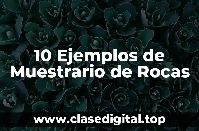 10 Ejemplos de Muestrario de Rocas