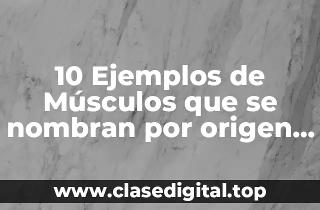 10 Ejemplos de Músculos que se nombran por origen e inserción