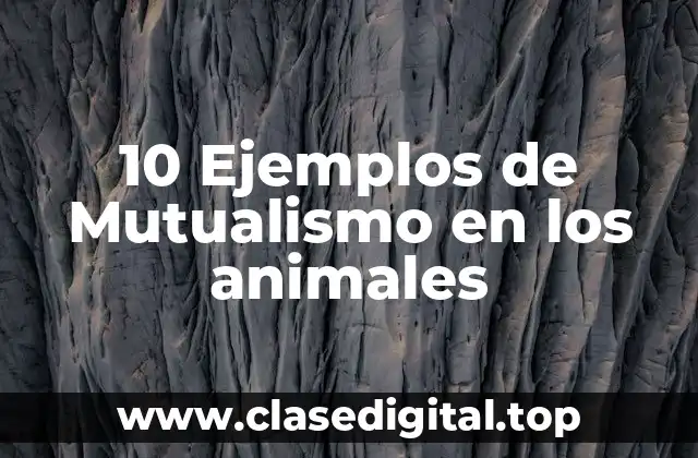 10 Ejemplos de Mutualismo en los animales