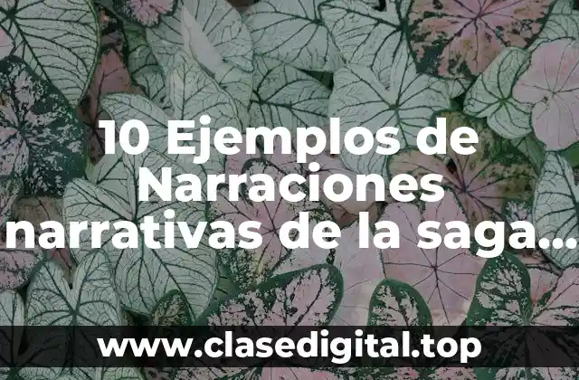 10 Ejemplos de Narraciones narrativas de la saga u otros largos