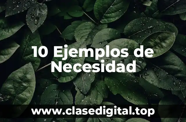 10 Ejemplos de Necesidad