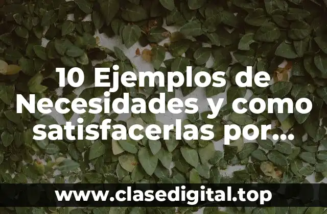 10 Ejemplos de Necesidades y como satisfacerlas por medio de organigramas
