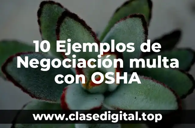 10 Ejemplos de Negociación multa con OSHA