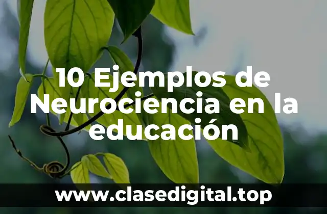 10 Ejemplos de Neurociencia en la educación